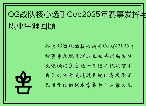 OG战队核心选手Ceb2025年赛事发挥与职业生涯回顾